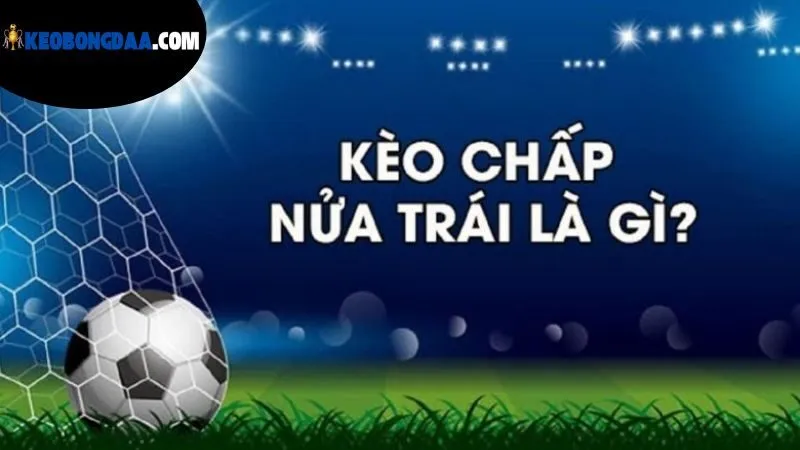 Kèo Bóng Đá 0.5 Là Gì - Kèo Chấp Nửa Trái Trong Cá Cược 2 khai-niem-co-ban-nhat-ve-keo-bong-da-0-5-la-gi?