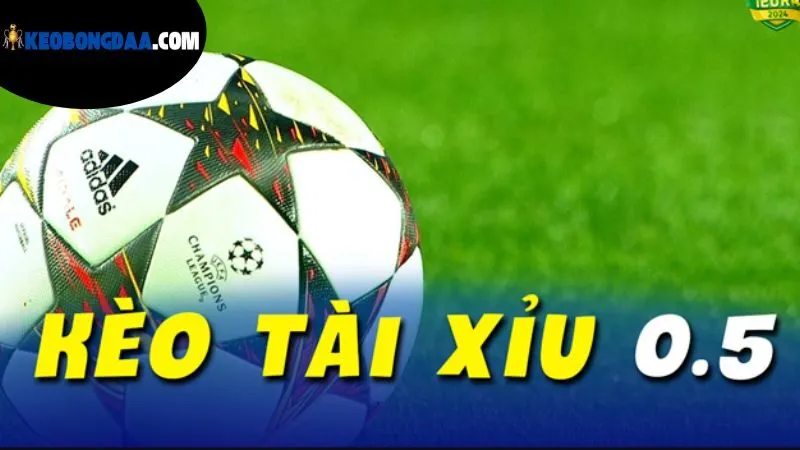 Kèo Bóng Đá 0.5 Là Gì - Kèo Chấp Nửa Trái Trong Cá Cược 4 tinh-toan-loi-nhuan-khi-dat-cuoc-keo-0-5