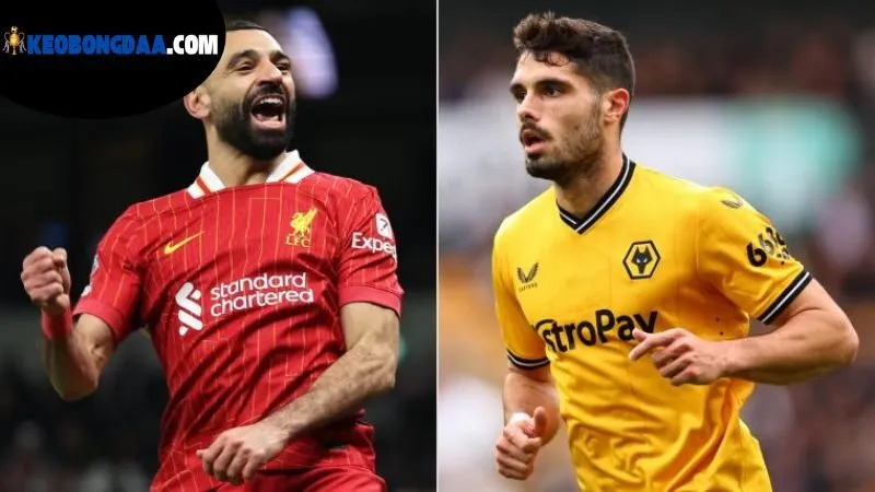 Kèo Bóng Đá Liverpool - Tìm Hiểu Sâu Về Môn Thể Thao Hấp Dẫn 4 cac-loai-keo-bong-da