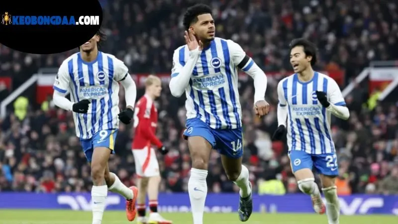 Kèo Bóng Đá Newcastle United - Khám Phá Tỷ Lệ Cược Hấp Dẫn 4 su-bien-dong-cua-keo-bong-da-newcastle-united