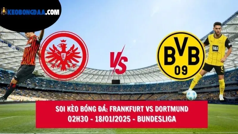 Kèo Bundesliga - Khám Phá Thế Giới Cá Cược Bóng Đá Đức 3 tam-quan-trong-trong-ca-cuoc-bong-da-cua-keo-bundesliga