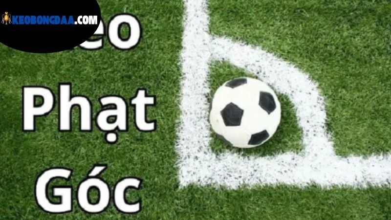 Kèo Góc Bóng Đá Là Gì - Hình Thức Cá Cược Độc Đáo Hiện Nay 4 chien-luoc-ca-cuoc-thong-minh