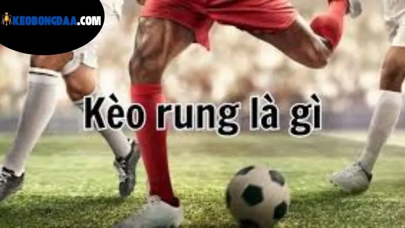 Kèo Rung Bóng Đá Là Gì - Tìm Hiểu Hình Thức Cá Cược Độc Đáo 2 khai-niem-chi-tiet-de-hieu-ro-keo-rung-bong-da-la-gi?