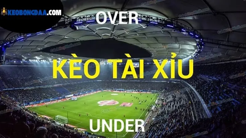 Kèo Tài Bóng Đá Là Gì - Khám Phá Thế Giới Cá Cược Bóng Đá 4 y-nghia-va-tac-dong-cua-keo-tai-bong-da-la-gi?