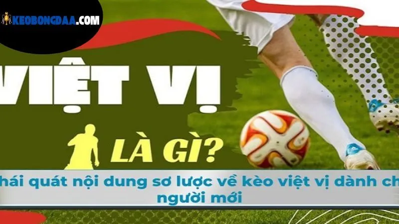 Kèo Vị Bóng Đá Là Gì - Hiểu Rõ Để Tối Ưu Hóa Chiến Lược 2 keo-vi-bong-da-la-gi?