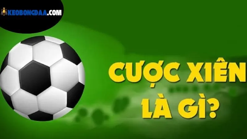 Kèo Xiên Bóng Đá Là Gì - Chiến Lược Cược Bóng Hiệu Quả 4 nhung-dieu-can-luu-y-khi-dat-cuoc-keo-xien-bong-da-la-gi?
